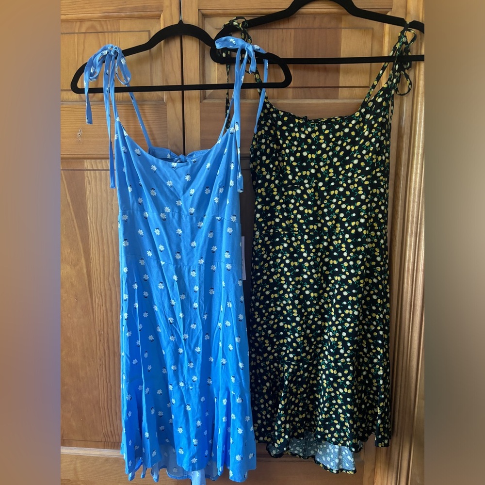 2 Brand New Wild Fable Dresses | Size Large